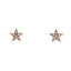 Star Diamonds Earrings